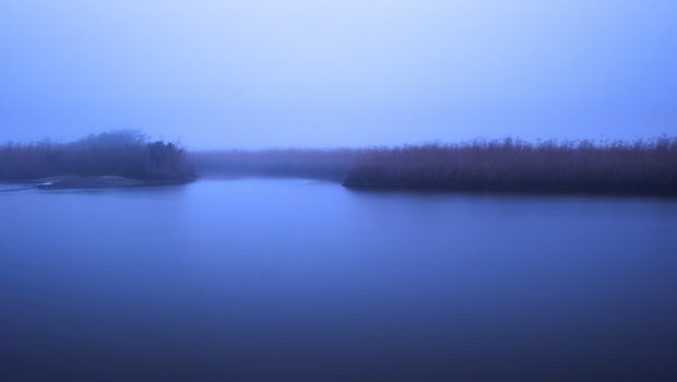 Dusk ushers in an ethereal fog at Lower Neches Wildlife Management Area.