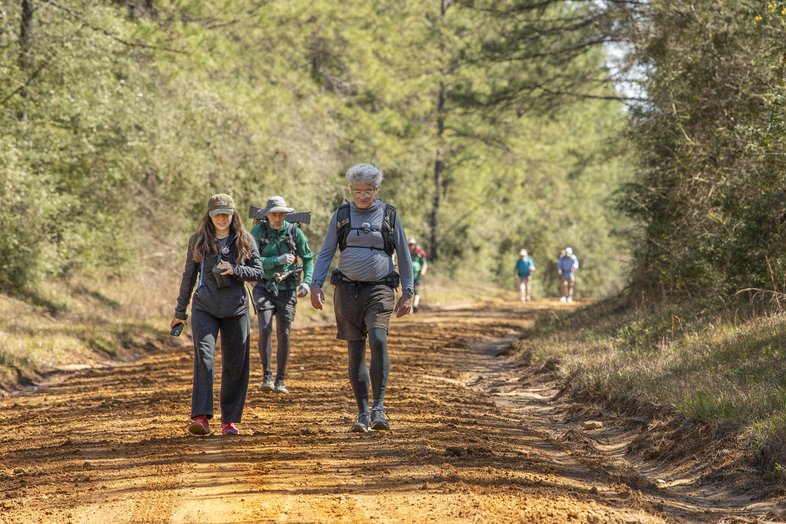 Group of hikers on red dirt road lined with tall trees in East Texas