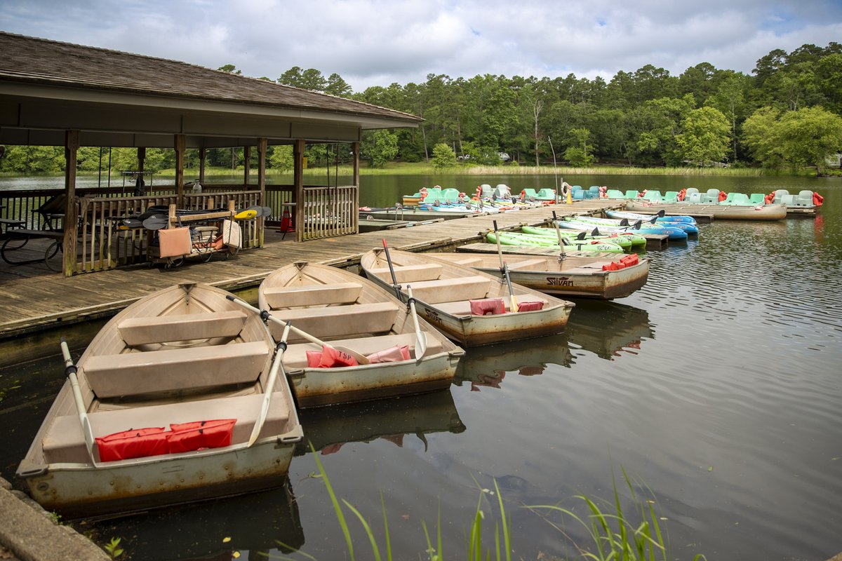 Rental boats tied to dock on lake at Tyler State Park