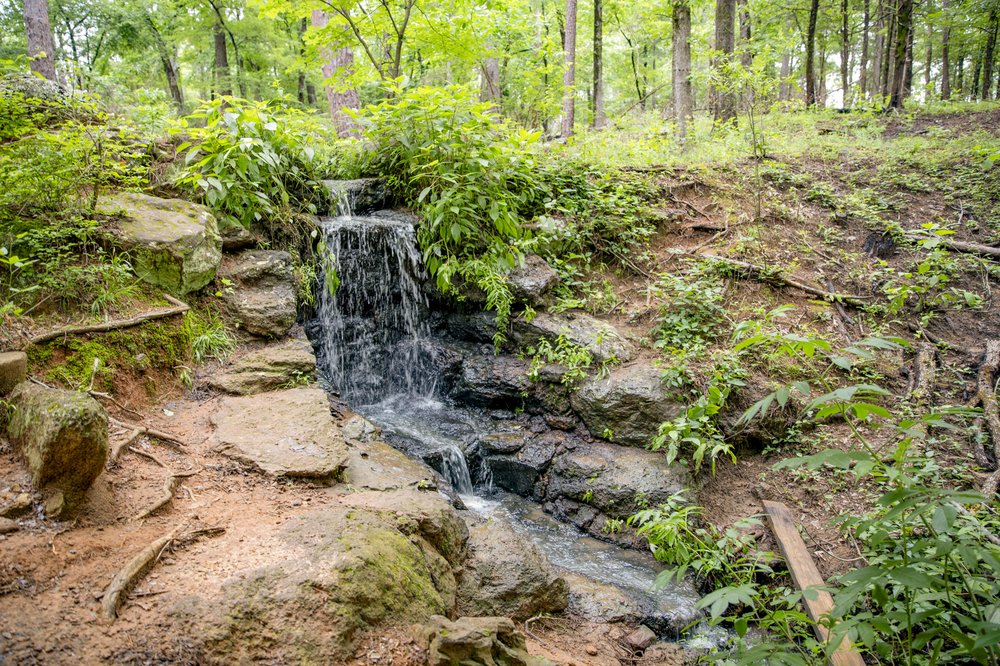 Water flowing over rock waterfall surrounded by green trees and shrubs