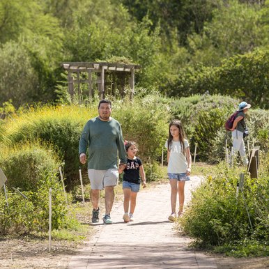 Man and two children walking on paved trail surrounded by flowering shrubs