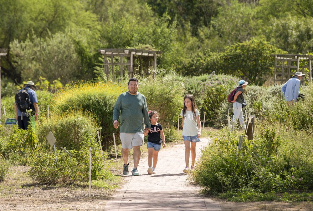 Man and two children walking on paved trail surrounded by flowering shrubs