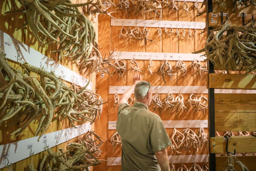 Antler Room at Kerr WMA