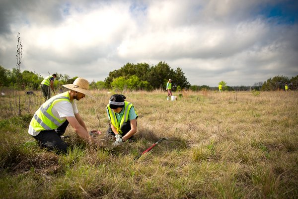 Volunteers digging up native plants for rescue.