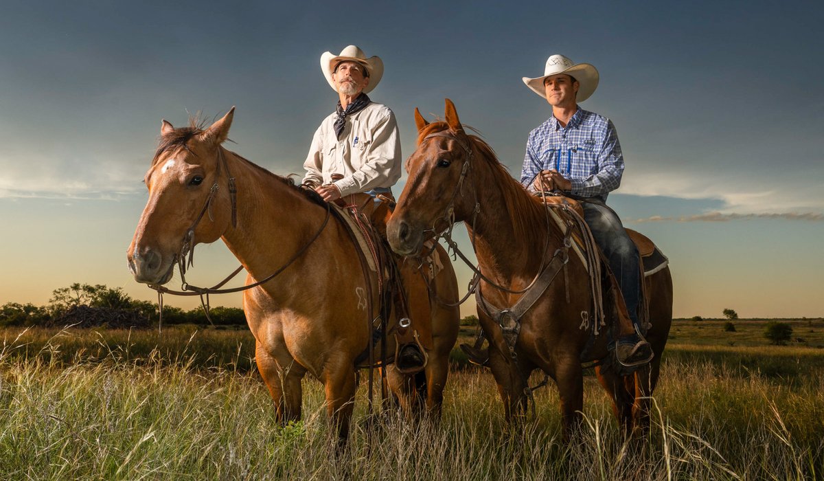Two cowboys on horses in a prairie
