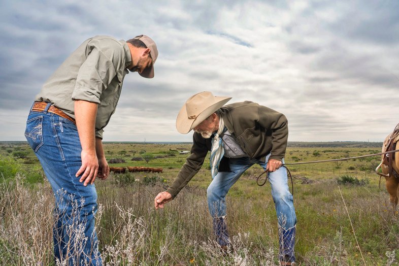 People in a prairie looking at grass.