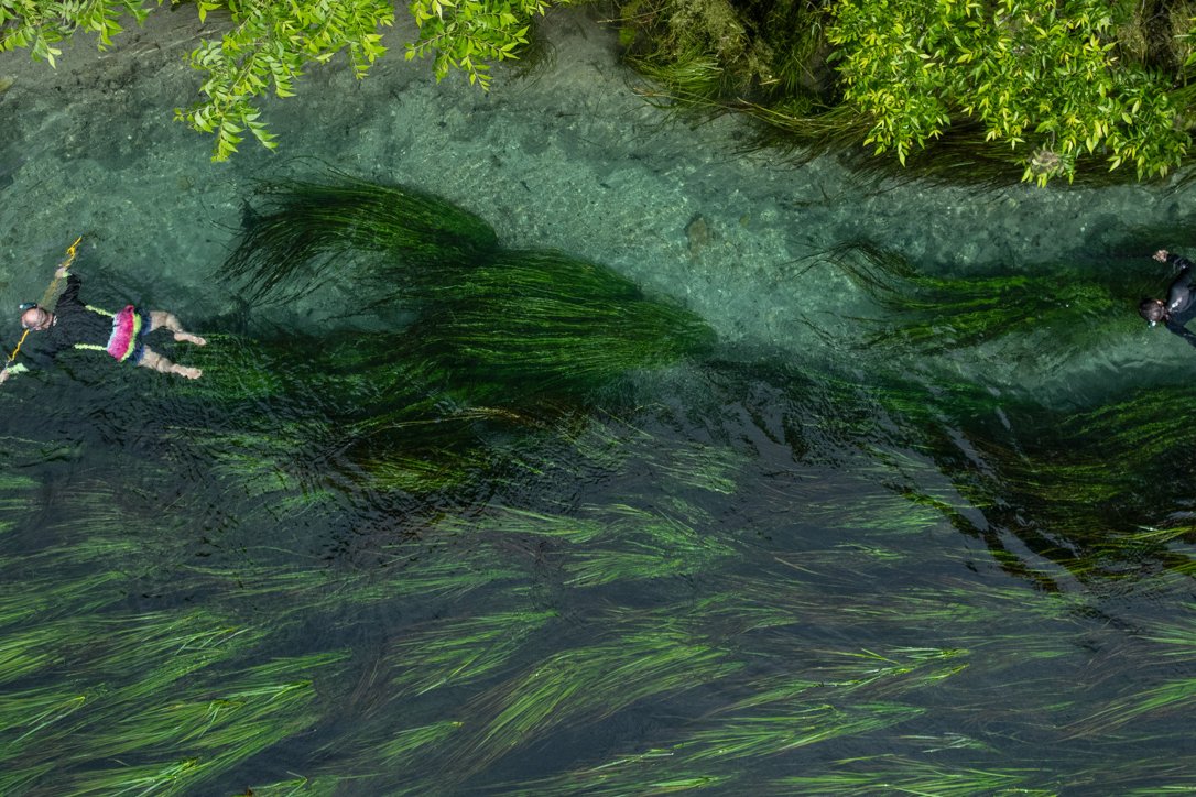 People floating in the San Marcos River for spearfishing.
