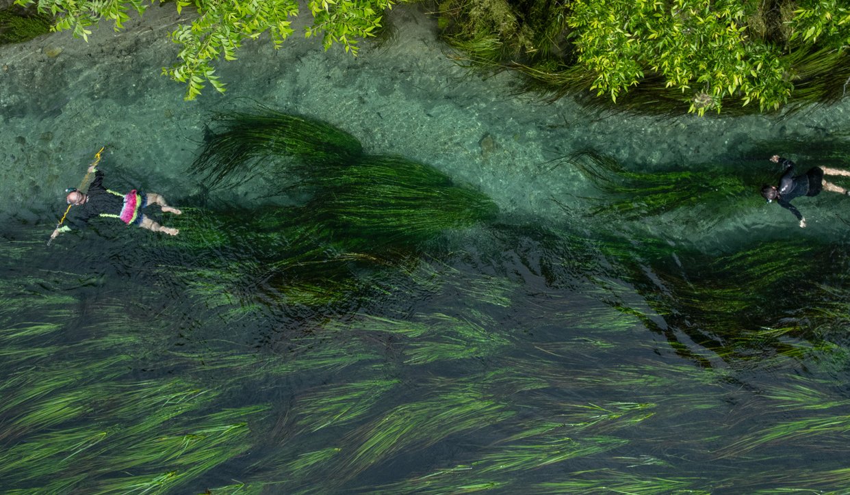 People floating in the San Marcos River for spearfishing.