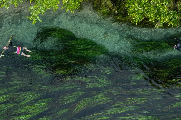 People floating in the San Marcos River for spearfishing.