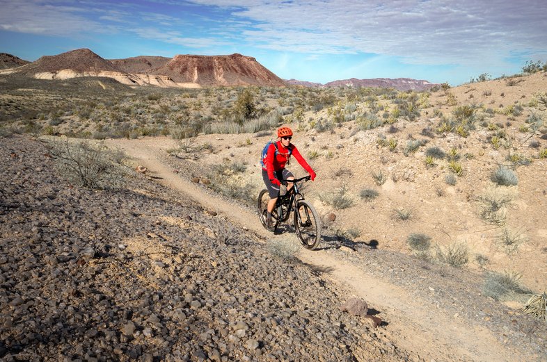 A biker on the Crystal Loop Trail in Big Bend Ranch State Park