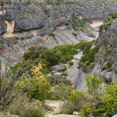 view looking down into Seminole Canyon