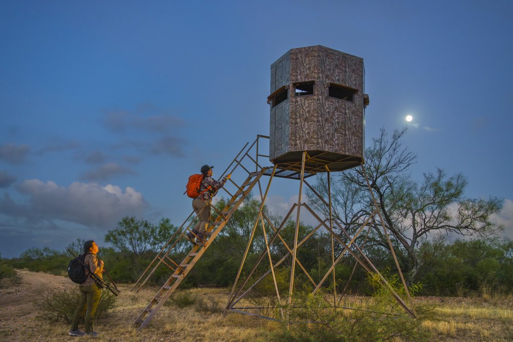 As dawn rises, two hunters climb the steps up into their deer blind