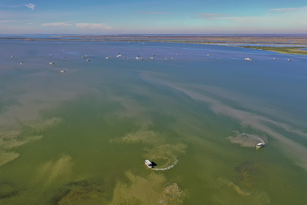 Oyster boats work the wild oyster beds in Carlos Bay