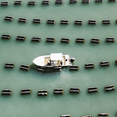 Aerial view of a boat working an oyster farm in Palacios