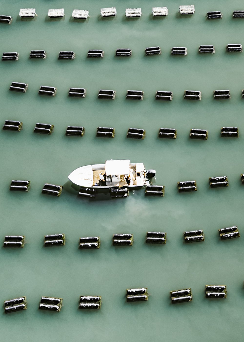 Aerial view of a boat working an oyster farm in Palacios
