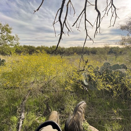 A hunter's boots stretch toward's cactus as he awaits a deer to come by