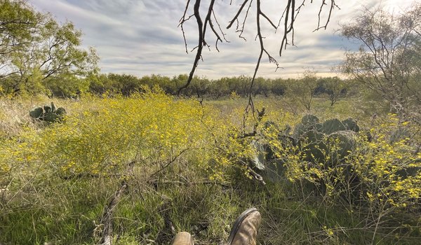 A hunter's boots stretch toward's cactus as he awaits a deer to come by