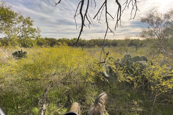 A hunter's boots stretch toward's cactus as he awaits a deer to come by