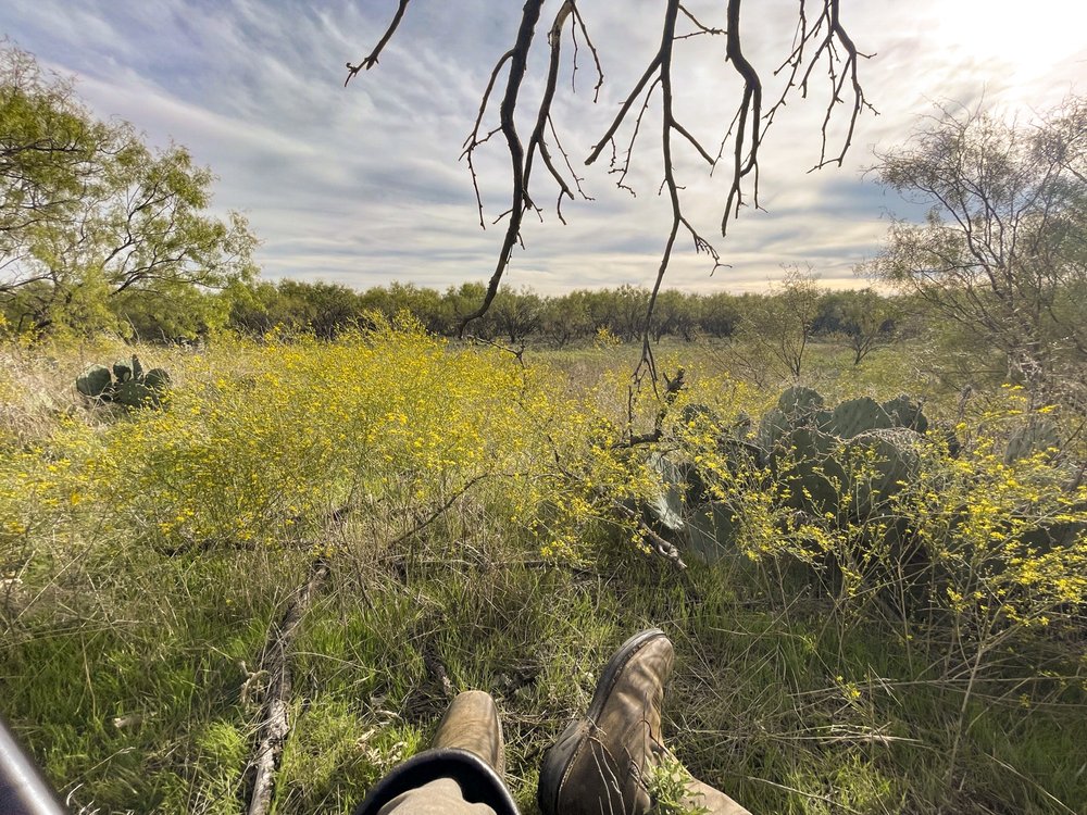 A hunter's boots stretch toward's cactus as he awaits a deer to come by