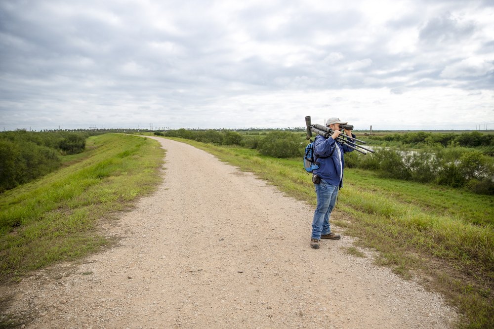 A lone birder stands with binoculars raised along the wide, flat dirt path of the Llano Grande Hiking Trail