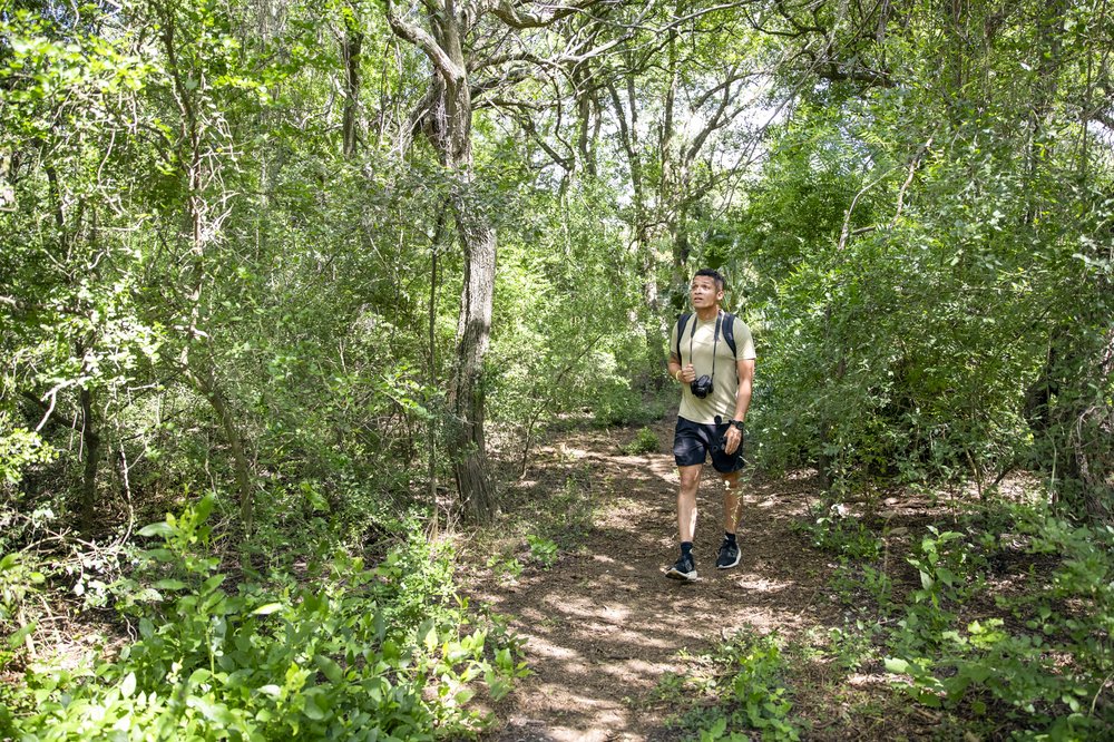 A solitary hiker walks the shady trail in the Tropical Zone of Estero Llano Grande state park