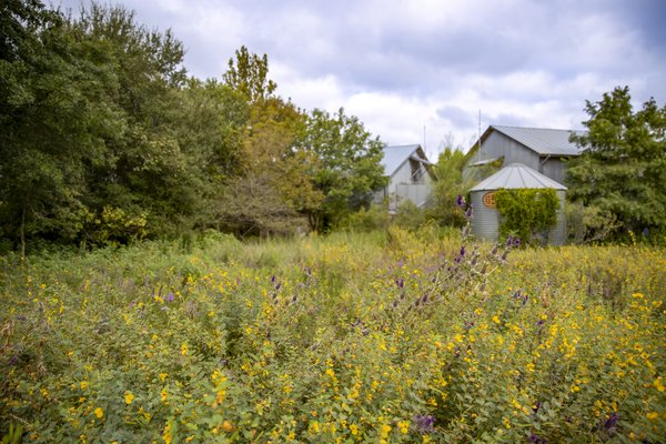 A barn and storage silo site in a field of prairie grasses and flowers
