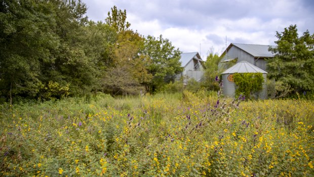 A barn and storage silo site in a field of prairie grasses and flowers