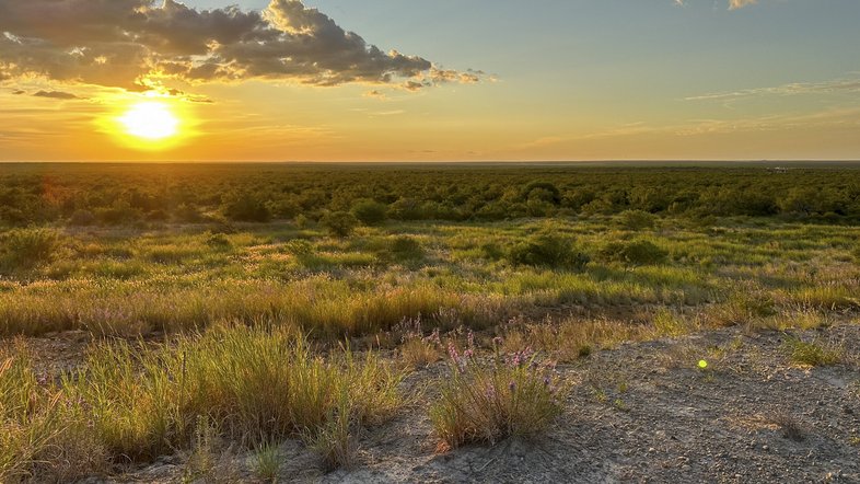 An open field at sunset in Chaparral Wildlife Management Area
