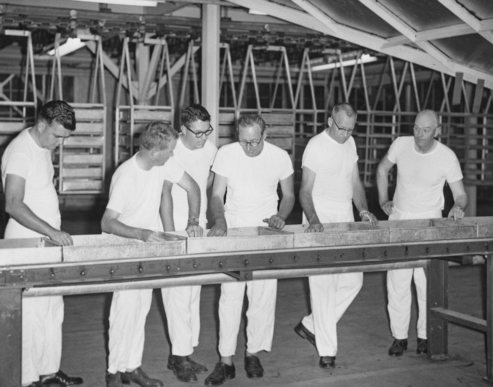 Men dressed in white at a conveyer belt inspecting pupae trays.