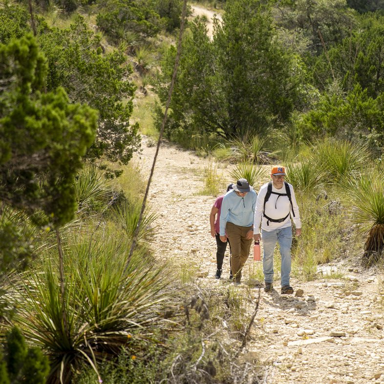 A group of people hike up a rocky trail at Hill Country State Natural Area