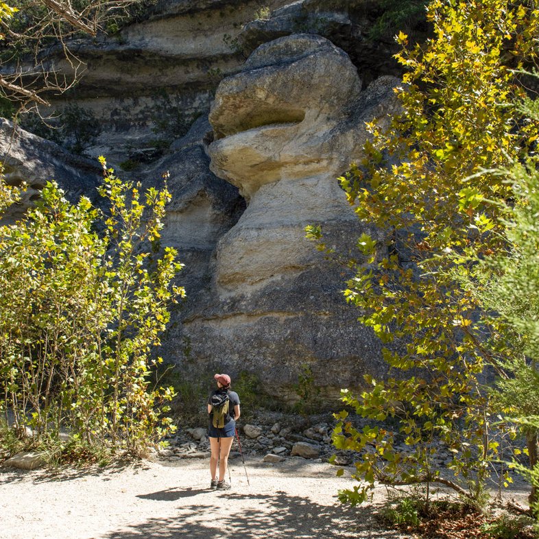 A woman stands in front of a rock formation that resembles a monkey