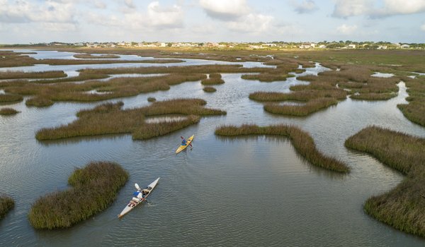 Two kayakers paddling through a marsh bayou