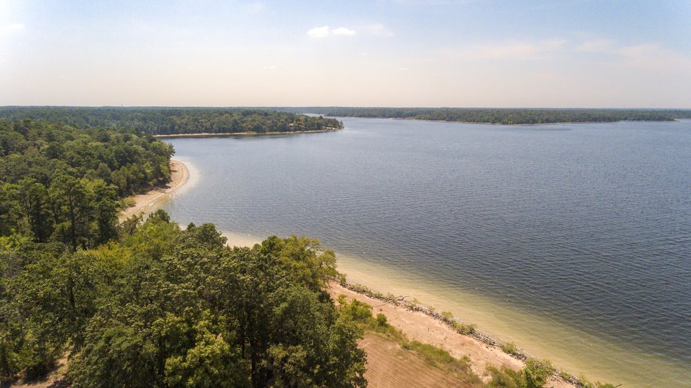An aerial shot of a lake with trees