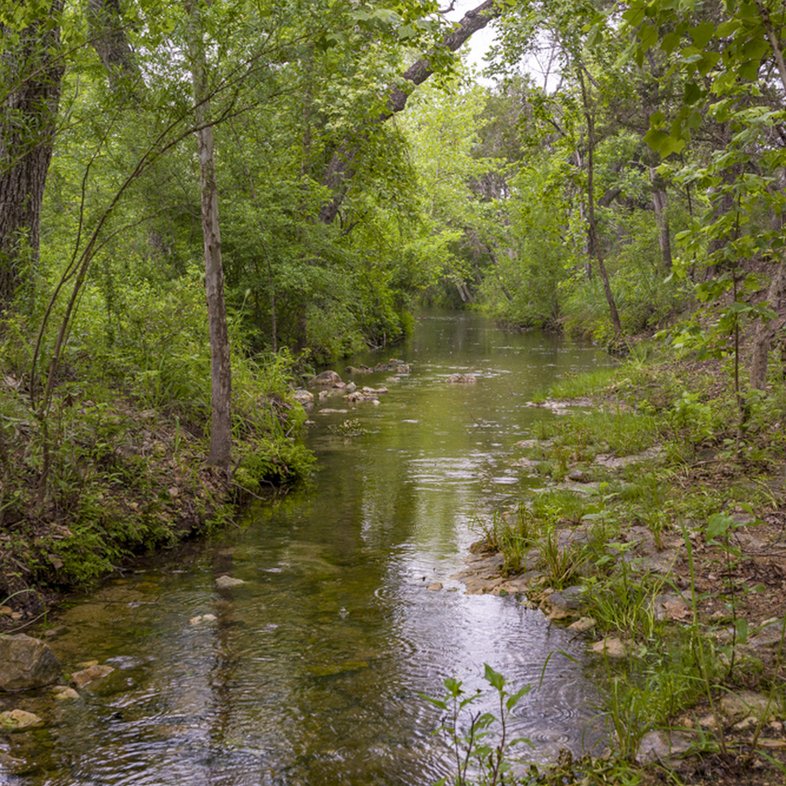 A creek runs through a very green tree covered area