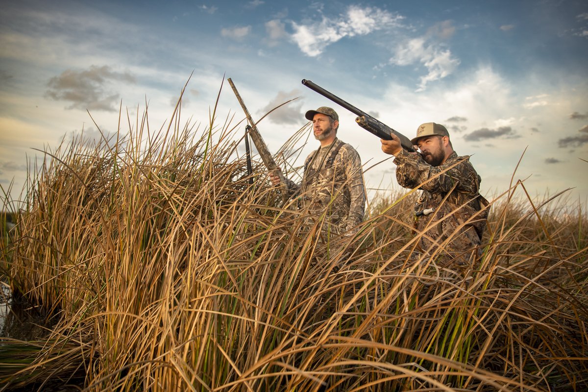 Two men in camoflauge hidden behind tall grass hunting.