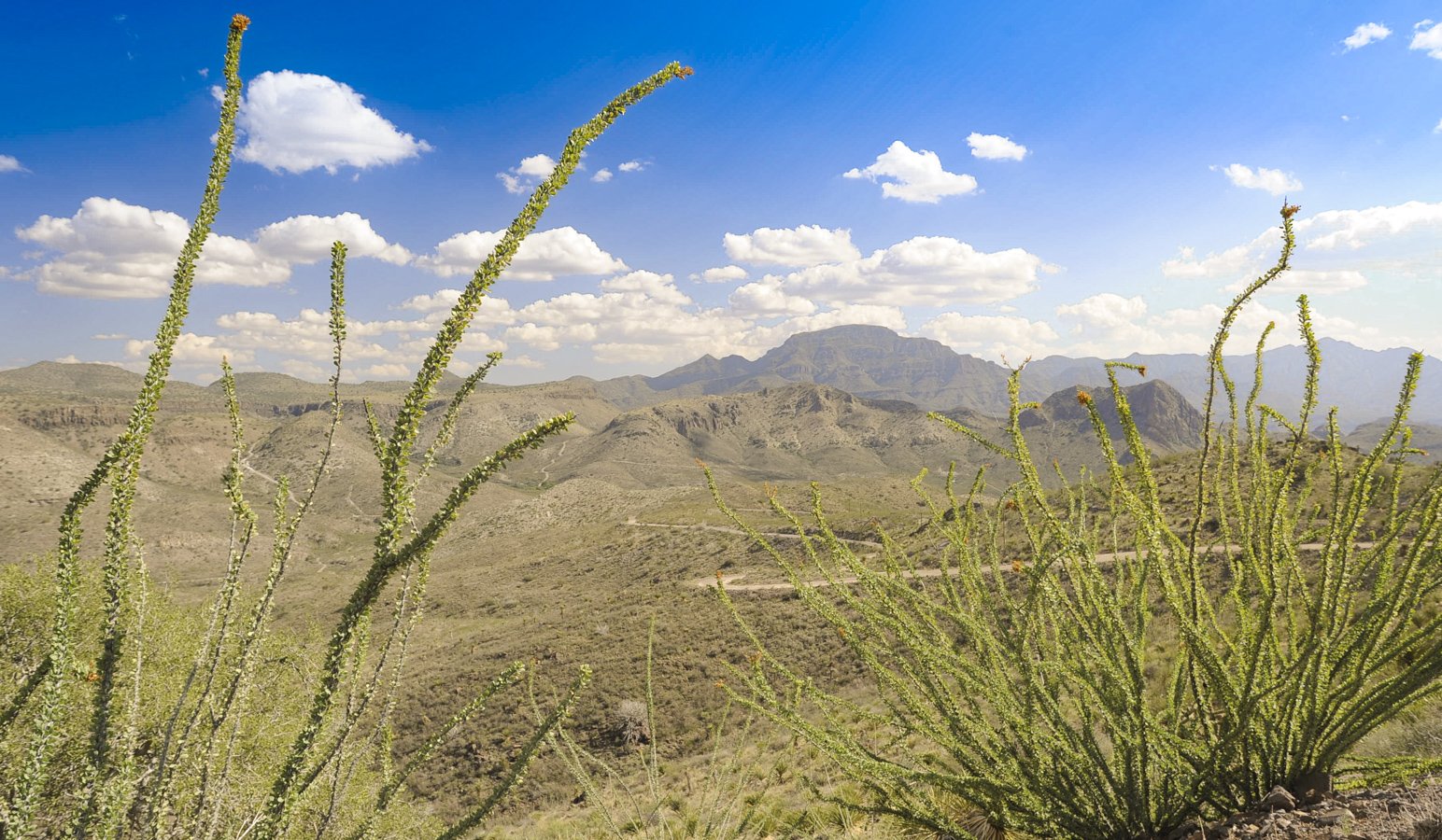 A view of the Chinati Mountains in the Chinati Mountains State Natural Area.