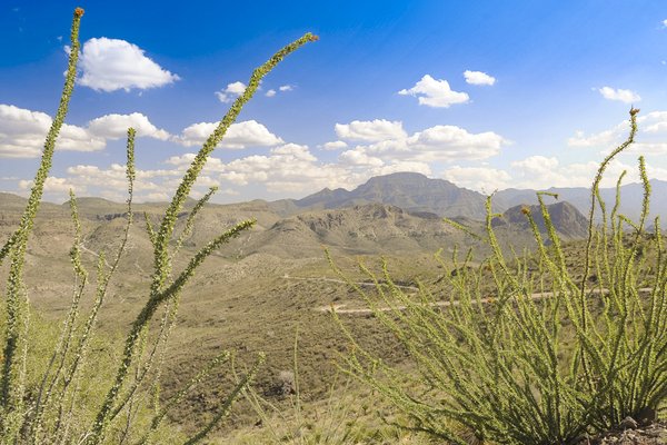 A view of the Chinati Mountains in the Chinati Mountains State Natural Area.