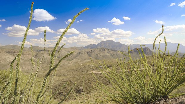 A view of the Chinati Mountains in the Chinati Mountains State Natural Area.