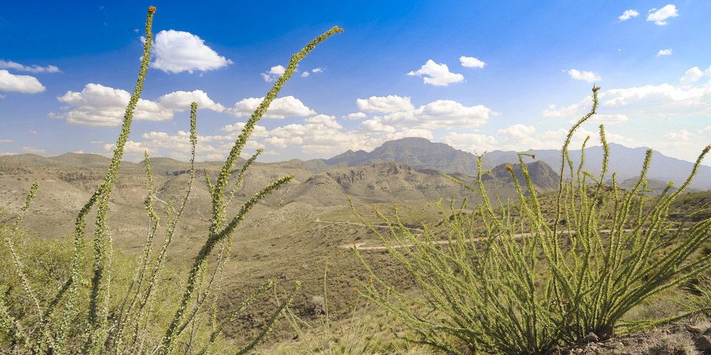 A view of the Chinati Mountains in the Chinati Mountains State Natural Area.