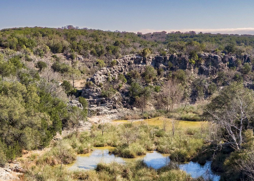 A view of a spring fed creek at Post Oak Ridge