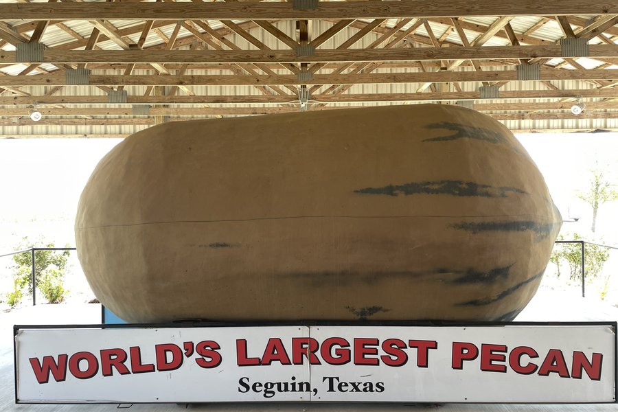 World's largest pecan on a stage in a covered structure.