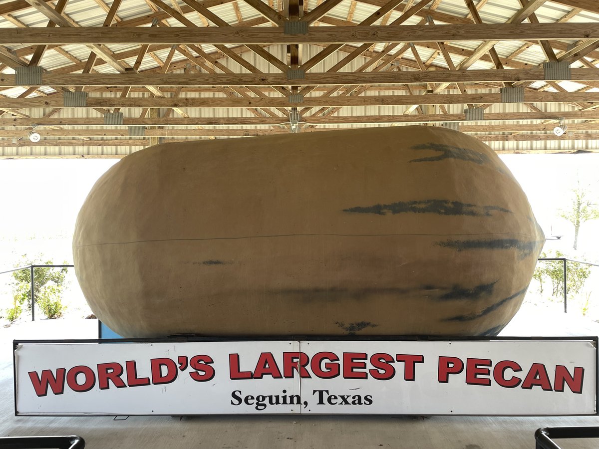 World's largest pecan on a stage in a covered structure.