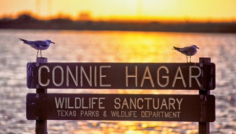 1 S21937 Connie Hagar, Rockport G. Allen