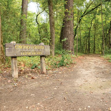 Caddo Forest Trail Trailhead
