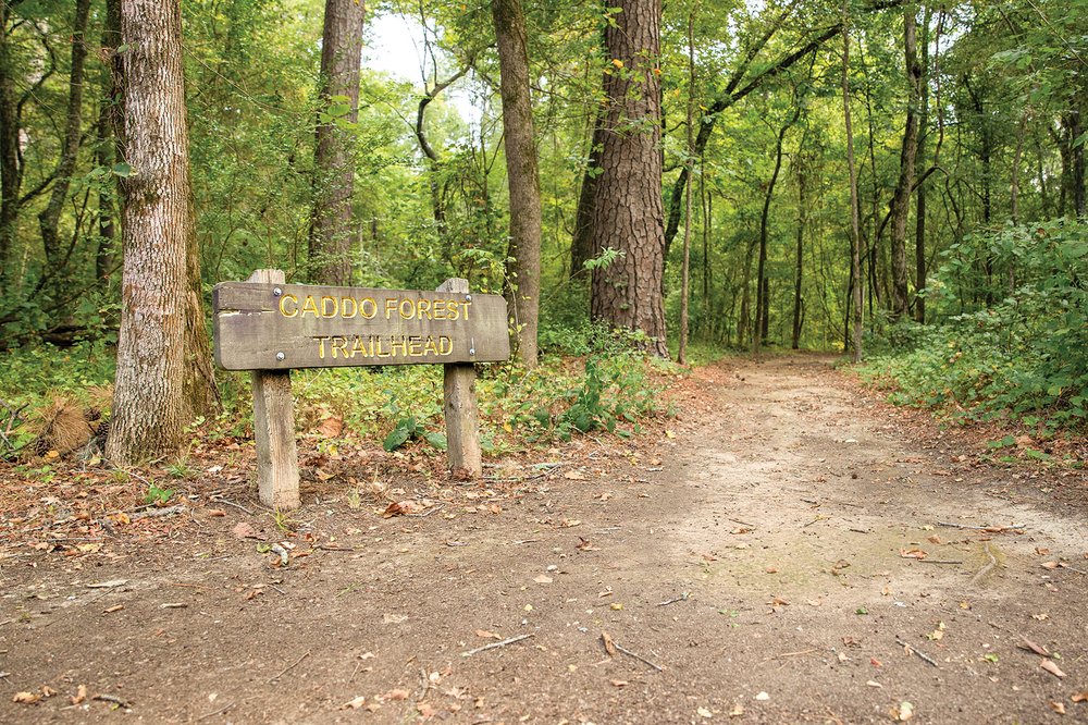 Caddo Forest Trail Trailhead