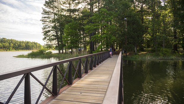 Boardwalk going over water into the woods at Martin Creek Lake in East Texas