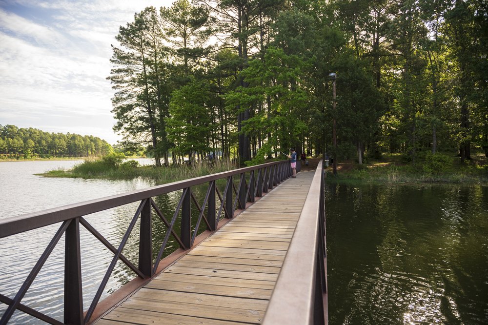 Boardwalk going over water into the woods at Martin Creek Lake in East Texas