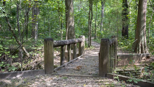 hiking trail through the woods with bridge