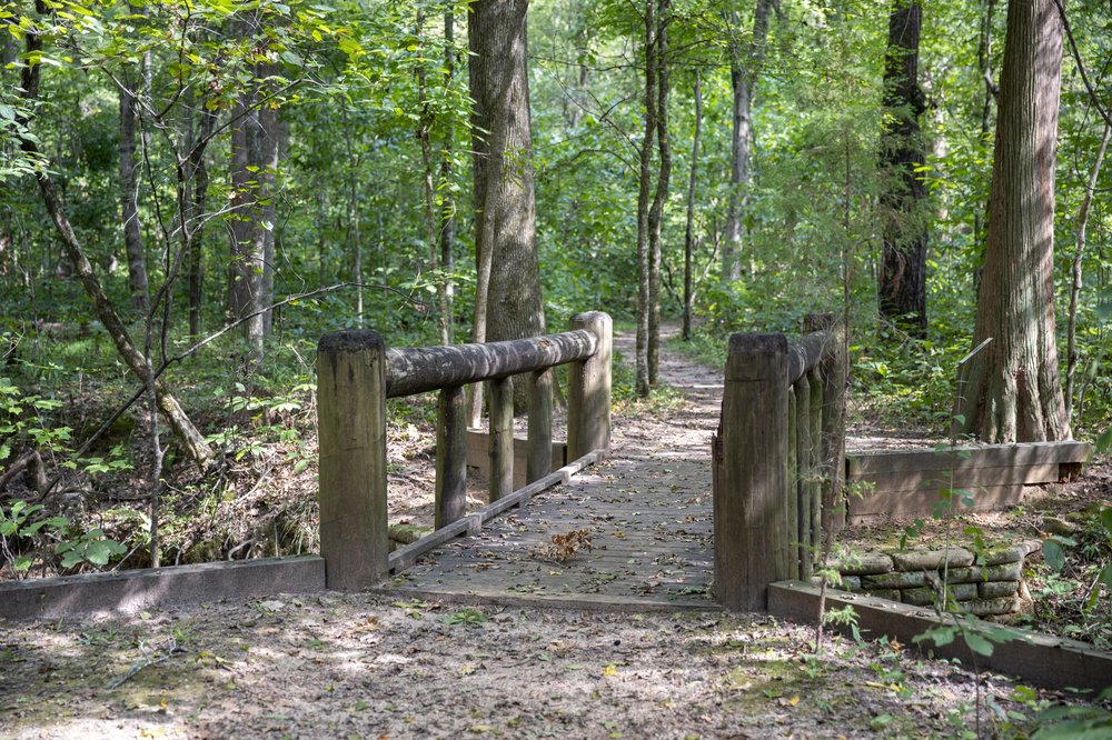 hiking trail through the woods with bridge