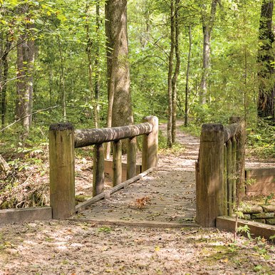 Caddo Forest Trail Bridge